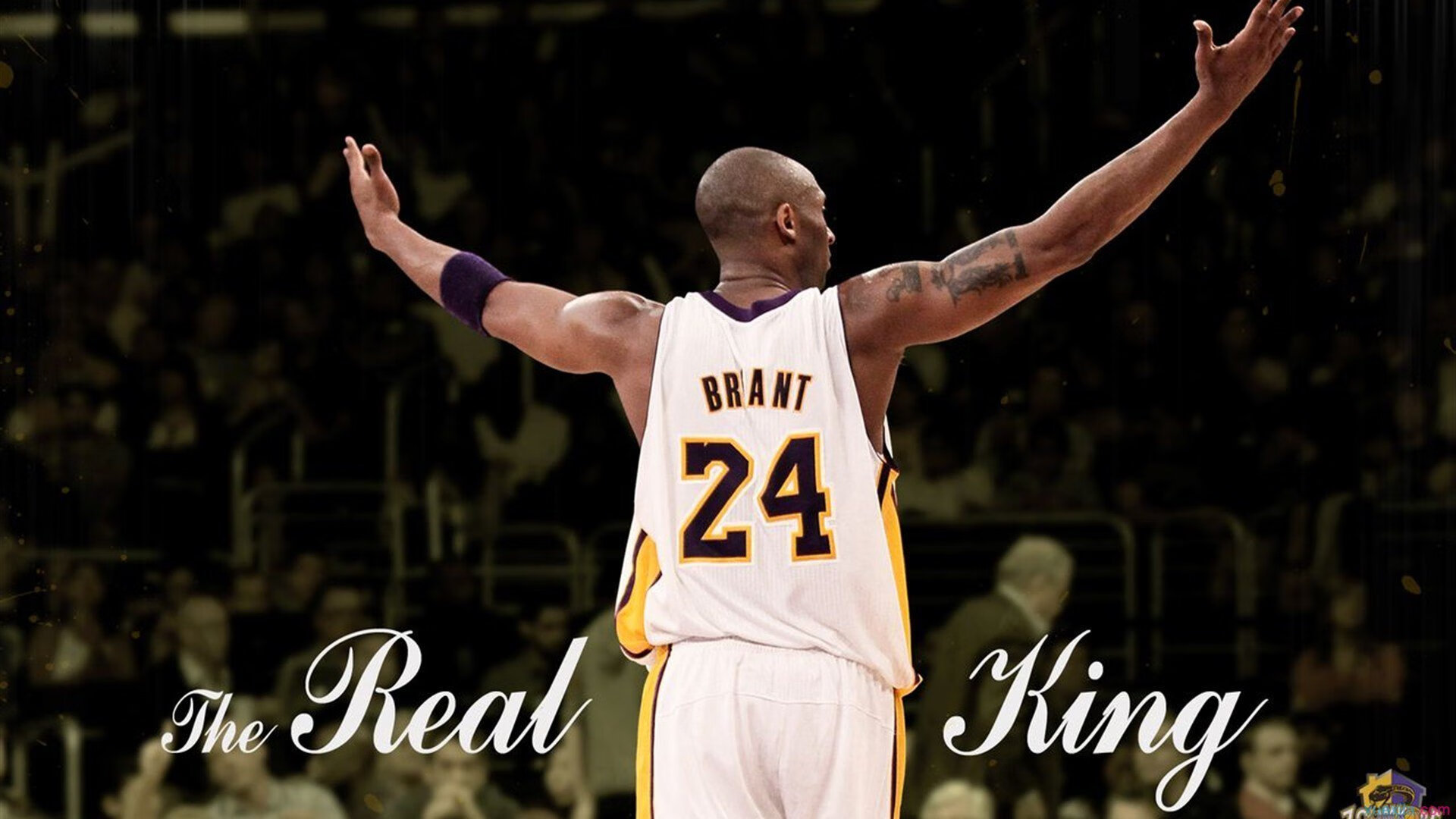 逆转之夜，布克如何扛起凯尔特人，击退鹈鹕的猛攻？