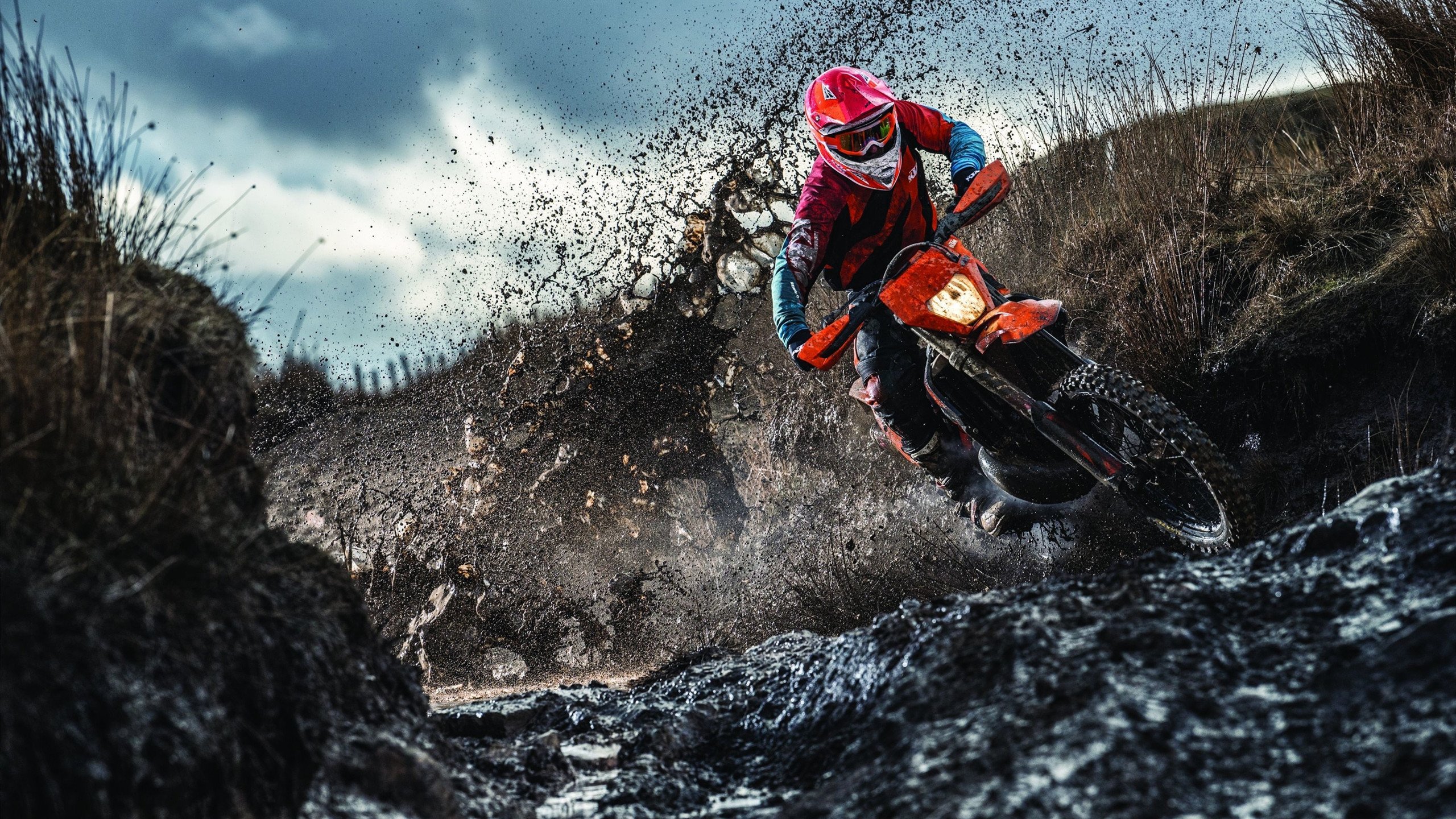 温网碾压澳网，蒂姆状态火热，红土王子能否在草地加冕？